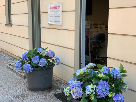 Hauptdarstellung